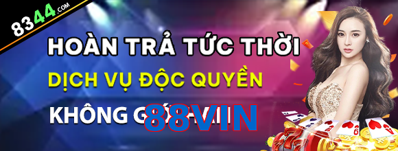 88VIN